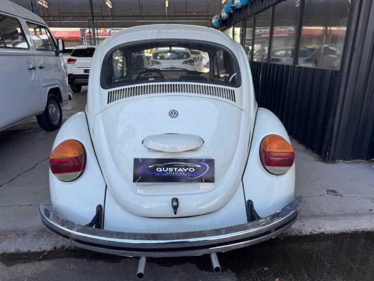 WhatsApp Image 2025-08-25 at 15.46.34 (1)