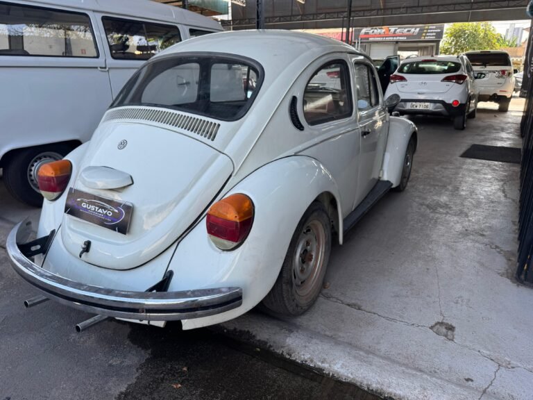 WhatsApp Image 2025-08-25 at 15.46.34