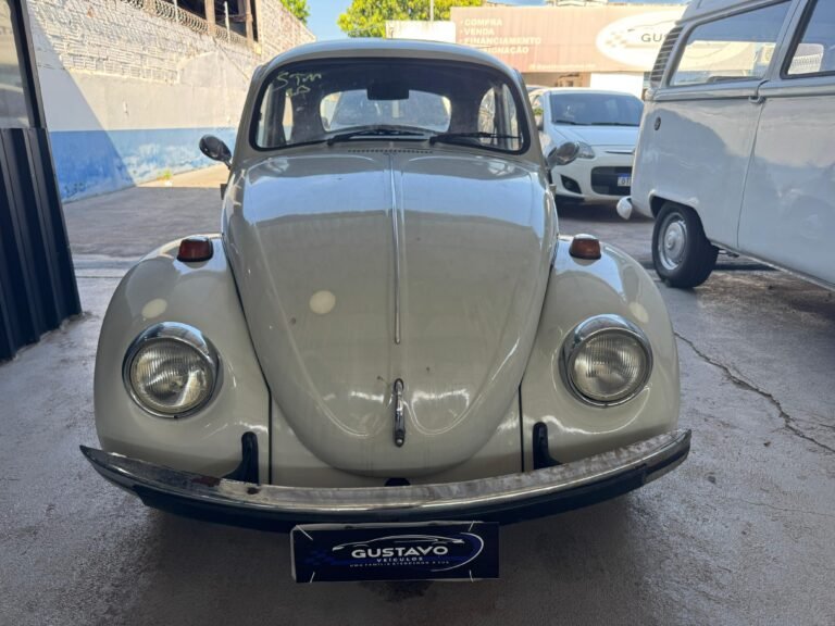 WhatsApp Image 2025-08-25 at 15.46.36 (2)