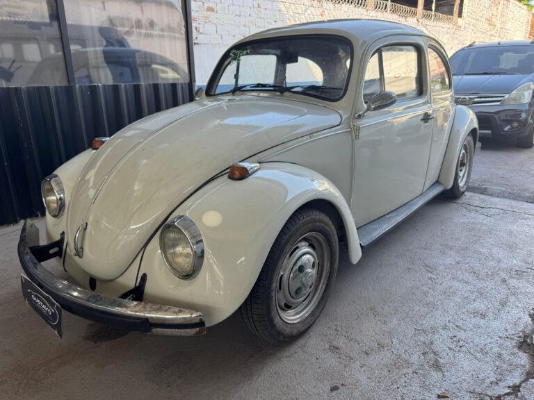 WhatsApp Image 2025-08-25 at 15.46.36