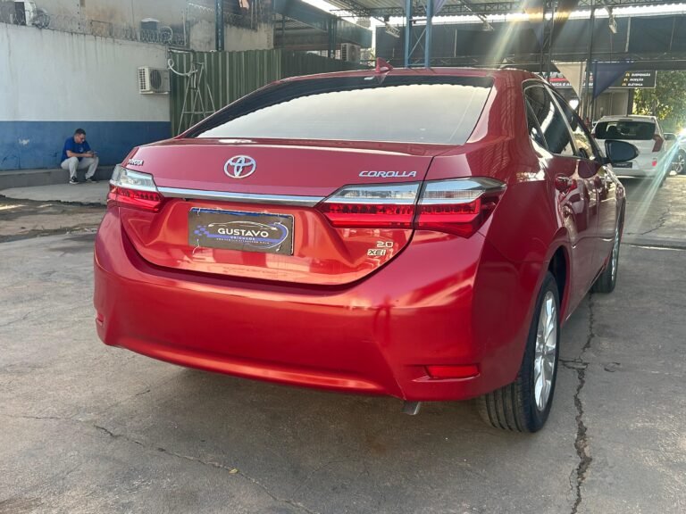 WhatsApp Image 2026-04-10 at 17.04.51 (1)