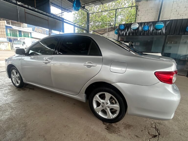 WhatsApp Image 2026-04-17 at 16.50.53 (1)